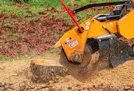 Best Leaf Removal  in Madison Park, NJ